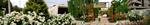 سمفونی زیبای  رنگها وطراوت ولطافت بهاری در دانشگاه سیستان وبلوچستان از دریچه دوربین –فروردین 1397(گزارش تصویری)