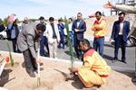 برگزاری جشنواره روز درختکاری در دانشگاه سیستان و بلوچستان