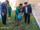 برگزاری مراسم آئین کاشت نهال(درختکاری) در دانشگاه سیستان و بلوچستان
