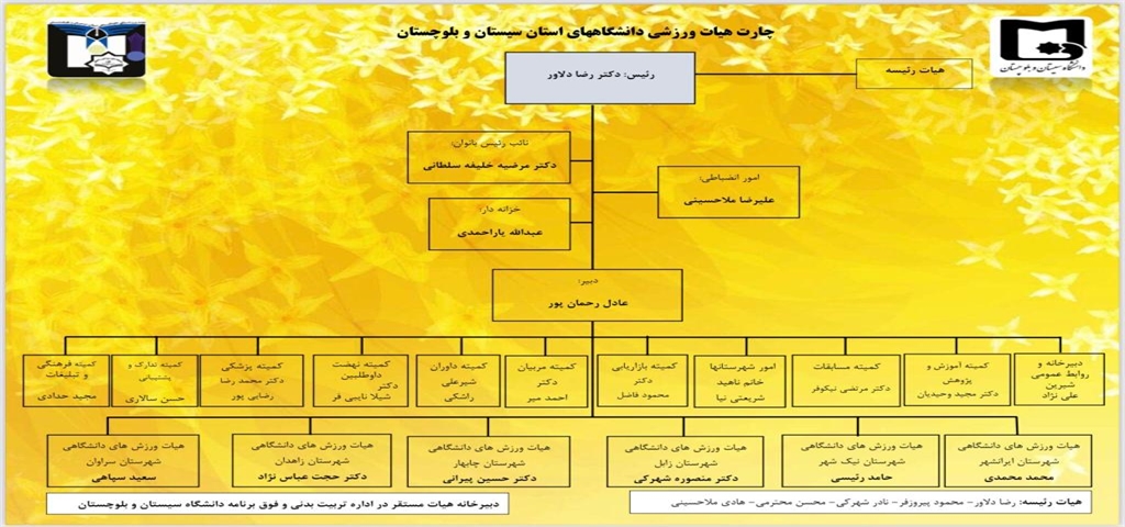 چارت هیأت ورزشی دانشگاههای استان سیستان وبلوچستان